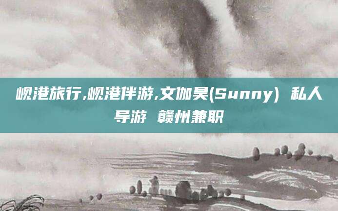 当阳岘港旅行,岘港伴游,文伽昊(Sunny) 私人导游 赣州兼职