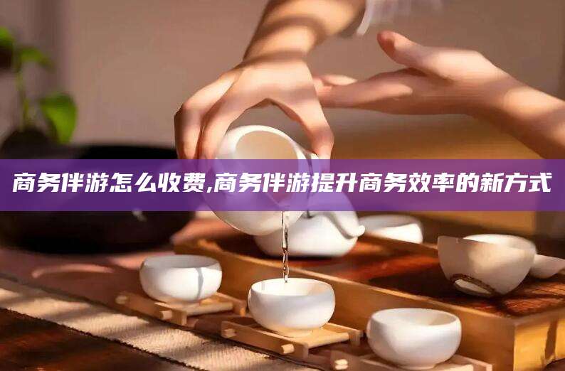 当阳商务伴游怎么收费,商务伴游提升商务效率的新方式
