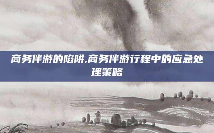 当阳商务伴游的陷阱,商务伴游行程中的应急处理策略